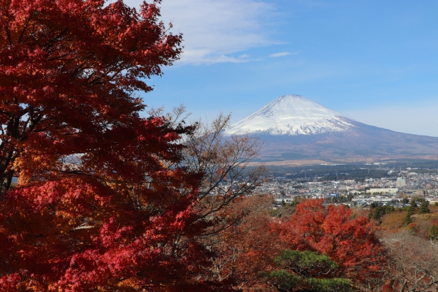 御殿場平和公園からの富士山