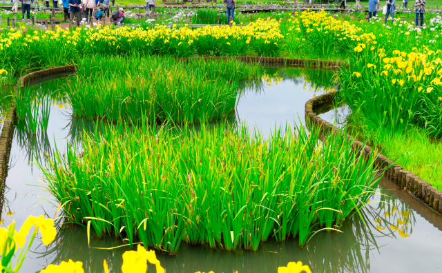 北山公園