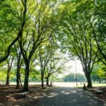 東京西部の子育てしやすい街を暮らし目線で比較!最新の保育園事情