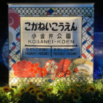 小金井市は暮らしやすい？中央線エリアの違いと住んでわかった魅力